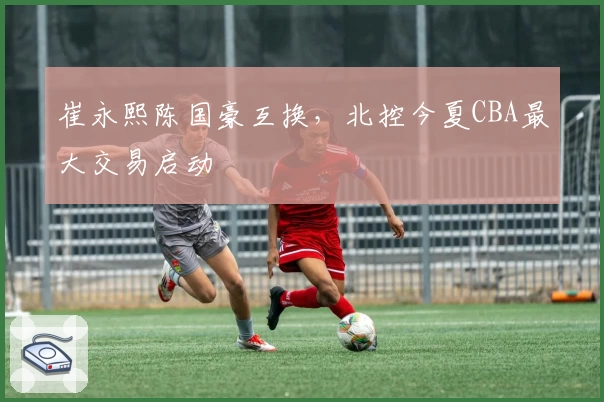 崔永熙陈国豪互换，北控今夏CBA最大交易启动