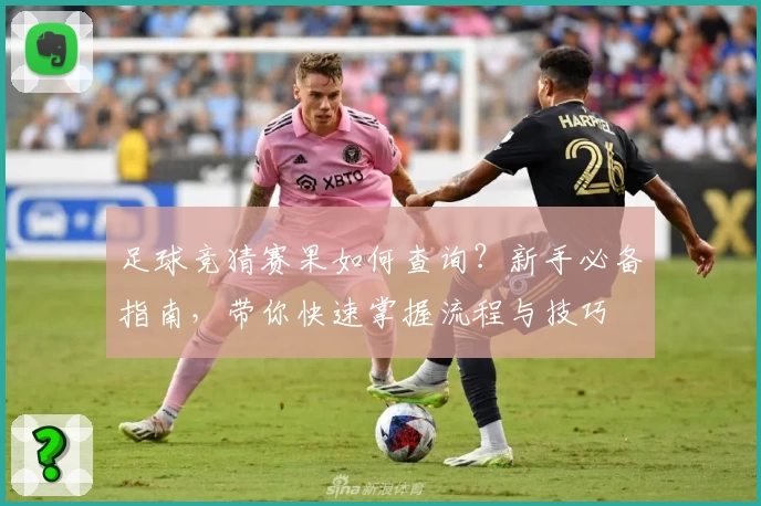 足球竞猜赛果如何查询？新手必备指南，带你快速掌握流程与技巧