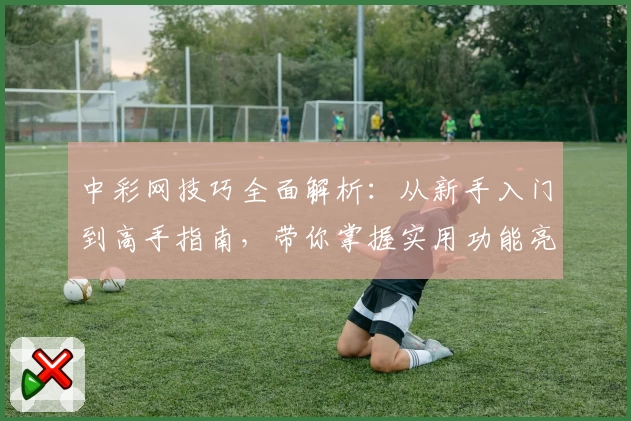 中彩网技巧全面解析：从新手入门到高手指南，带你掌握实用功能亮点