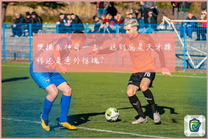 樊振东神奇一击，这到底是天才操作还是意外惊魂？
