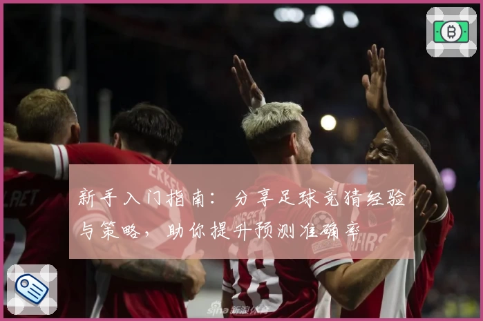 新手入门指南：分享足球竞猜经验与策略，助你提升预测准确率