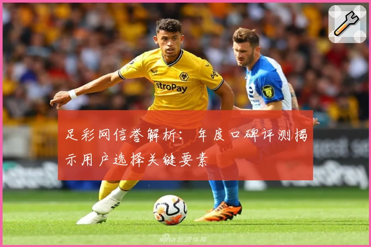 足彩网信誉解析：年度口碑评测揭示用户选择关键要素
