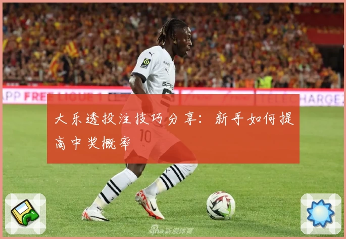 大乐透投注技巧分享：新手如何提高中奖概率